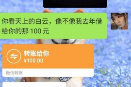 当阳如何避免债务纠纷？专业追讨公司教您应对之策